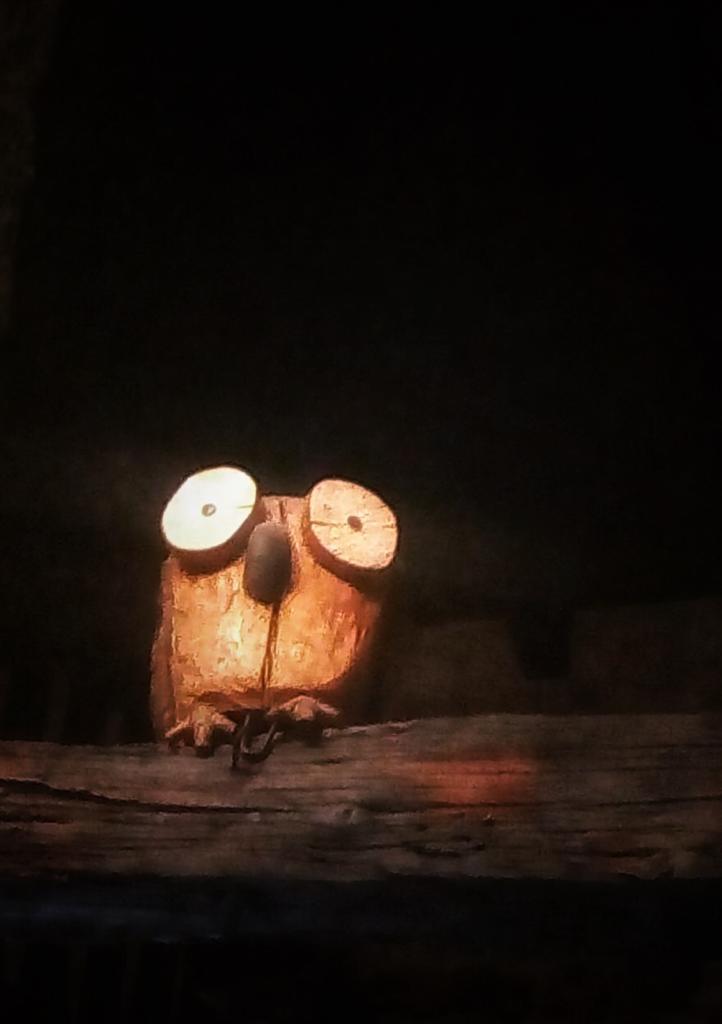 Mirada nocturna